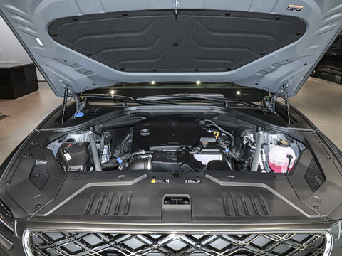 2025�� 2.5T ����������