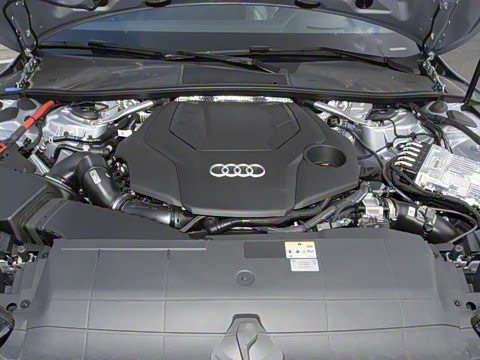 2025�� 55 TFSI quattro ������