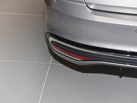 2026�� 300TSI DSG���а�