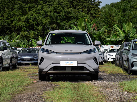 2026�� DM-i 220������