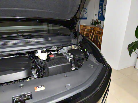 2025�� 2.0T �Զ������� 7��