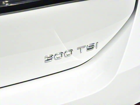 2026�� L 300TSI DSG ������