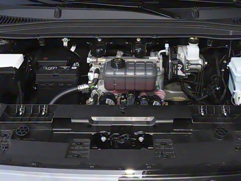 2025�� 550������