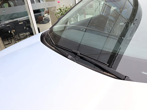 2026�� Ӱ�� 270T ������