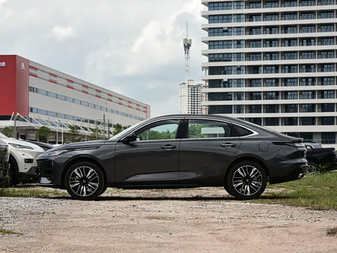 2026�� 1.5L �������� ������