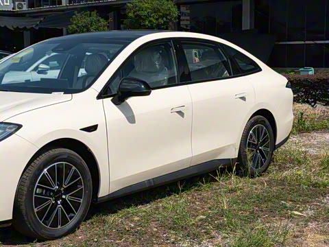 2026�� 520�Ǻ���