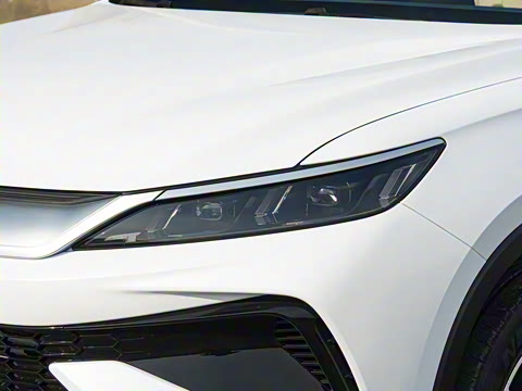 2026�� DM-i 133KM��ȡ��