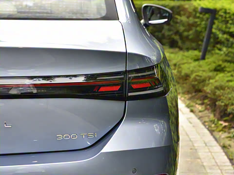 2026�� L 300TSI DSG ������