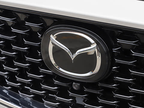 2025�� 2.0L �Զ���������Pro
