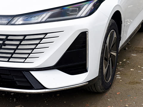 2026�� 1.5L �������� ������