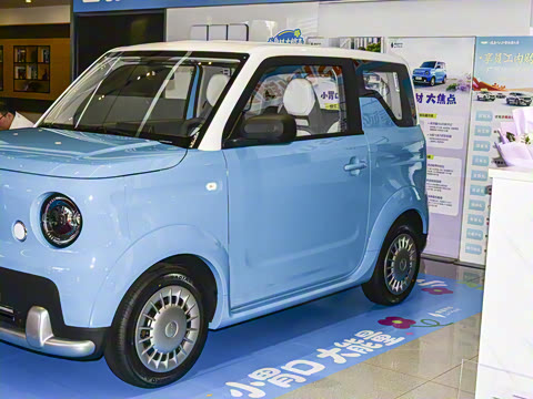 2025�� ������