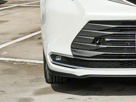 2026�� 2.5L ˫����������