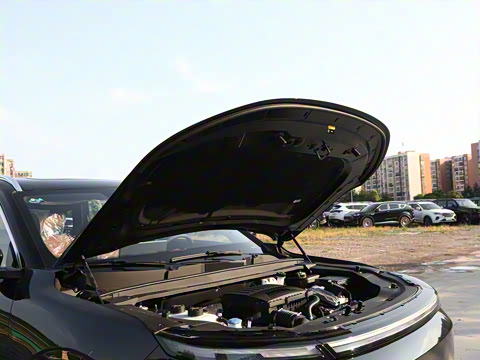 2026�� 121km ������ 5��