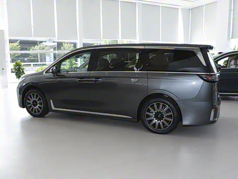 2025�� EV �������������