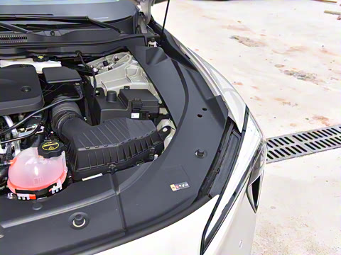 2025�� ������ң���а�