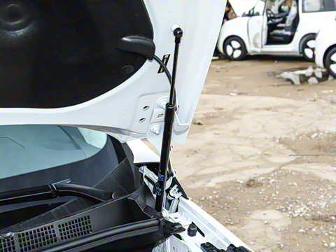 2026�� ½�� ������