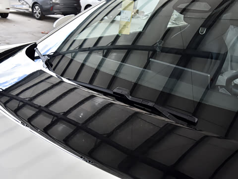 2026�� Elite �����