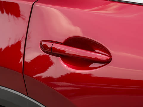 2025�� 2.0L �Զ���������Pro