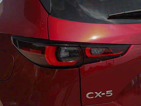 2025�� 2.0L �Զ���������Pro