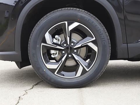 2026�� 530Խ����