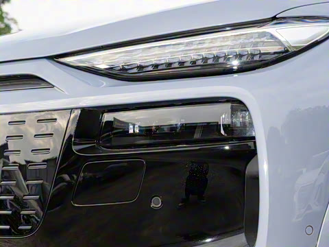 2026�� ����������