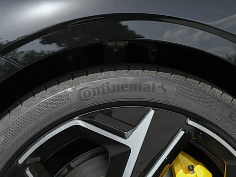 2026�� ���� 816 ����������