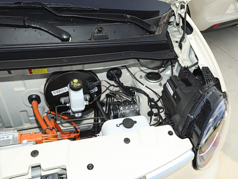 2026�� ����� 205km ���׿�