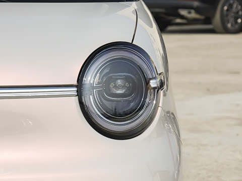 2026�� ����� 205km ���׿�