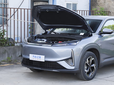 2026�� 530Խ����