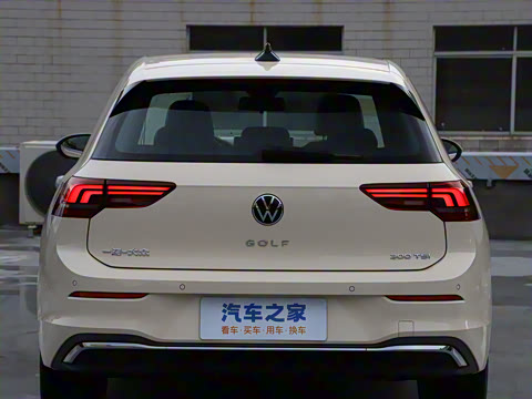 2025�� �Ŀ� 300TSI Pro