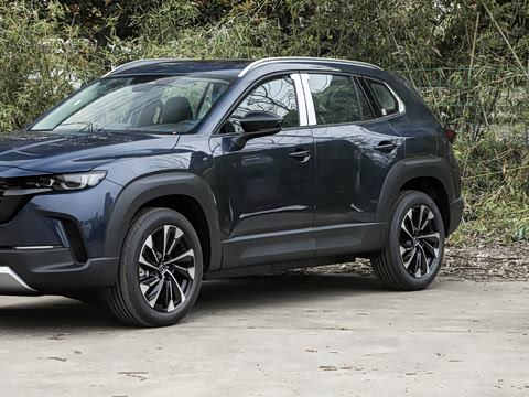 2026�� 2.5L ���а�