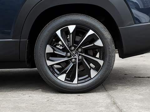 2026�� 2.5L ���а�