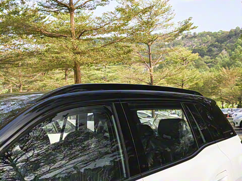 2026�� 650 ��׼��