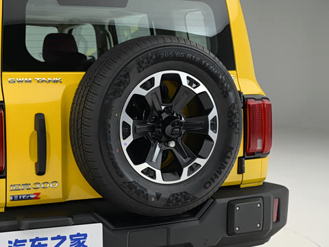 2026�� ̹��300L Hi4-Z 