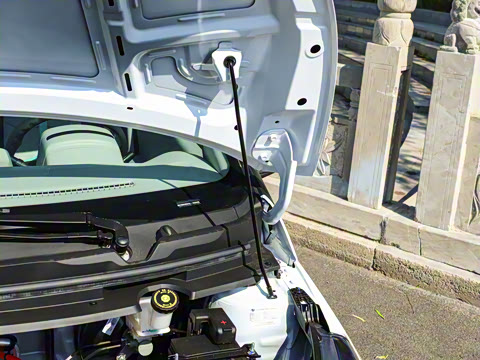 2026�� PLUS ������