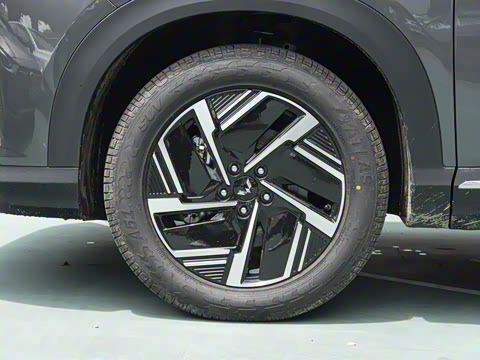 2025�� 130km �캽��