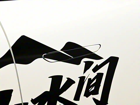 2025�� ����600 Max