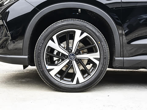 2026�� DM-i 220KM��Խ��