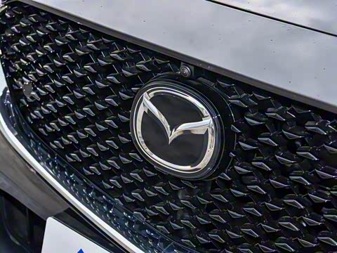 2025�� 2.0L �Զ�������