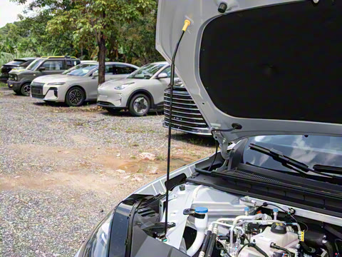 2026�� 520�Ǻ���