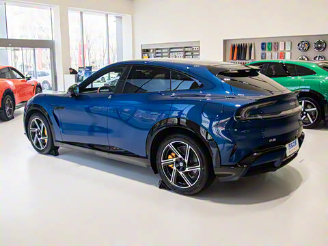 2025�� ������������Pro��