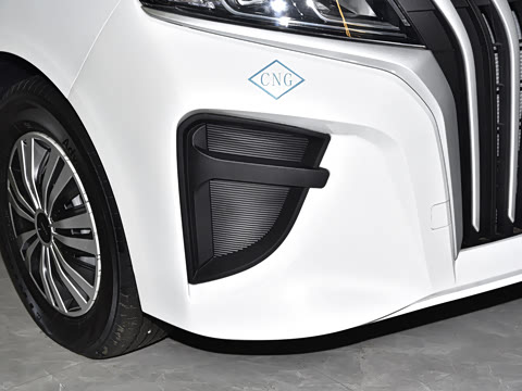 2025�� 2.0L CNG��Ӣ�� 9��