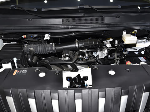 2025�� 2.0L CNG��Ӣ�� 9��