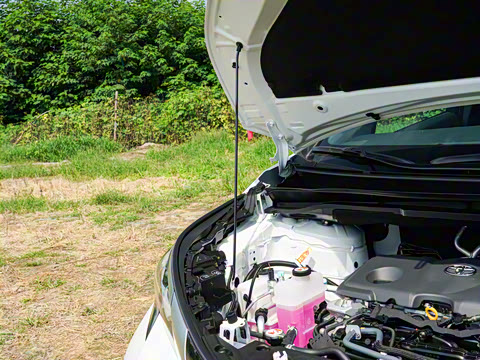 2026�� 2.5L ˫������������