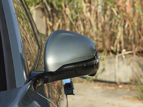 2025�� FREE+ ����Ǭ����