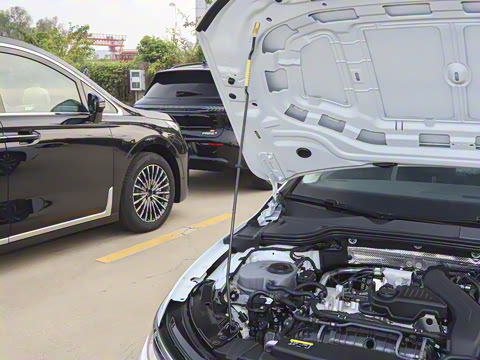 2026�� 300TSI Pro