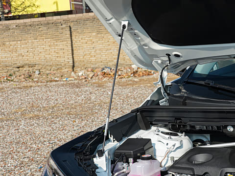 2026�� ˫�� 2.5L ����������