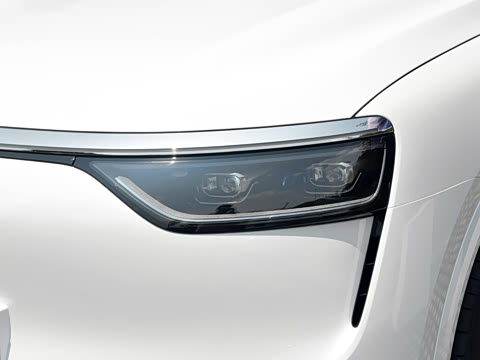 2025�� ���� Max+ ������������ 