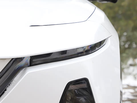 2026�� ����600 Pro