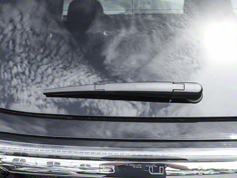 2026�� ������Plus ����Avenir��ά��